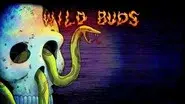 Wild Buds still