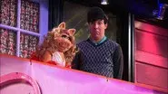 Miss Piggy still
