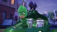 Looking After Gekko still
