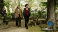 Animal Romance still
