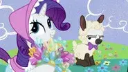 Forever Filly still