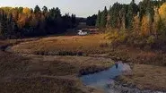 Minnesota still