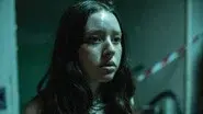 The Find still