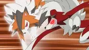 Showdown on Poni Island! still