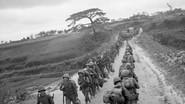 A World Without War still