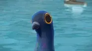Surprise, Surprise still