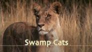Swamp Cats still