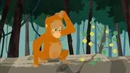 A Huge Orange Problem still