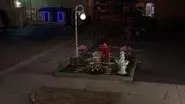 Smallest Park still