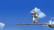 Diving Board still