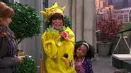 Zuri's New Old Friend still
