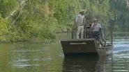 Hunt for the Crocogator still