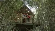 Ultimate Treehouses VI still