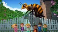 Queen Bee still