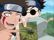 What's the Difference? Don't All Insects Look Alike? still