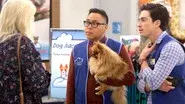 Dog Adoption Day still