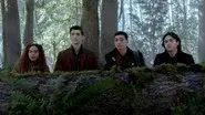 The Case of the Creeping Forest still