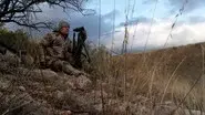 Stalking the Grey Ghost: Arizona Coues Whitetail Deer still