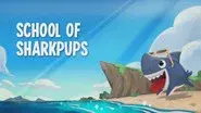 School of Sharkpups / How to Train Your Sharkpups / Sharkbites and Pupcakes still