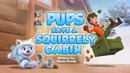 Pups Save a Squirrely Cabin still
