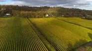 12/26/2021: Weather & Wine, Drawing Truth to Power still