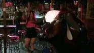 One Wild Ride still