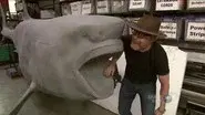 Shark Week Special still