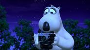 Shooting Stars still