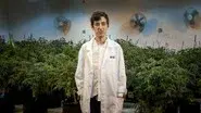 Beating Blindness & White Collar Weed still