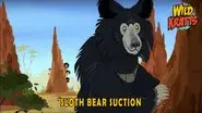 Sloth Bear Suction still