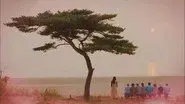Our Love Story still