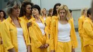 The Turtle Principle still