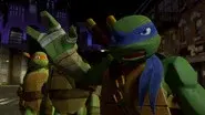 Turtle Temper still