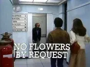 No Flowers by Request still