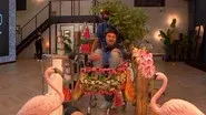 Episode 218 still