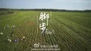 Footsteps still