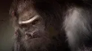 Aliens and Bigfoot still