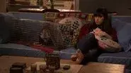 The Possum still
