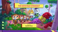 The Haystack Stakeout still