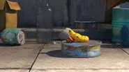 An Out-of-body Experience still