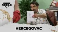 2287 Hercegovac still