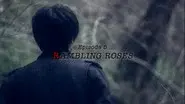 RAMBLING ROSES still