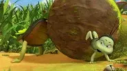 Dung Ball Drama still