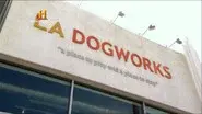 LA Dogworks still