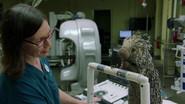Dr. Natalie Mylniczenko: Veterinarian still