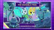 The Invisible Frog still