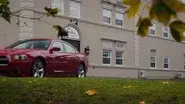 Dogged Pursuit still