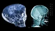 The Anunnaki Connection still