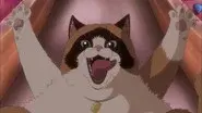 No More Nyan-Nyan still