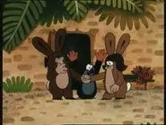 The Mole and the Mother still